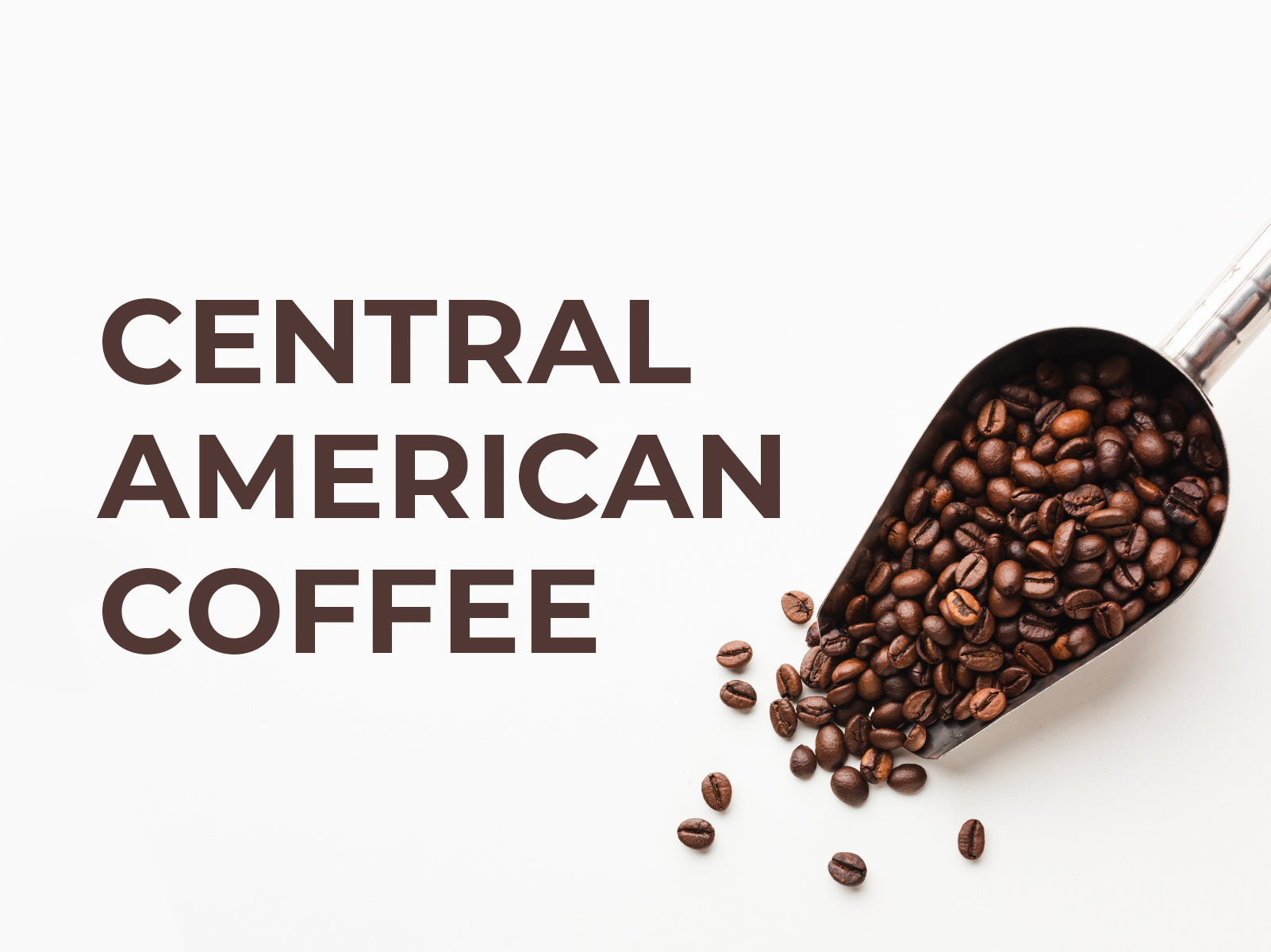 Single Origin Coffees | Central American Coffee