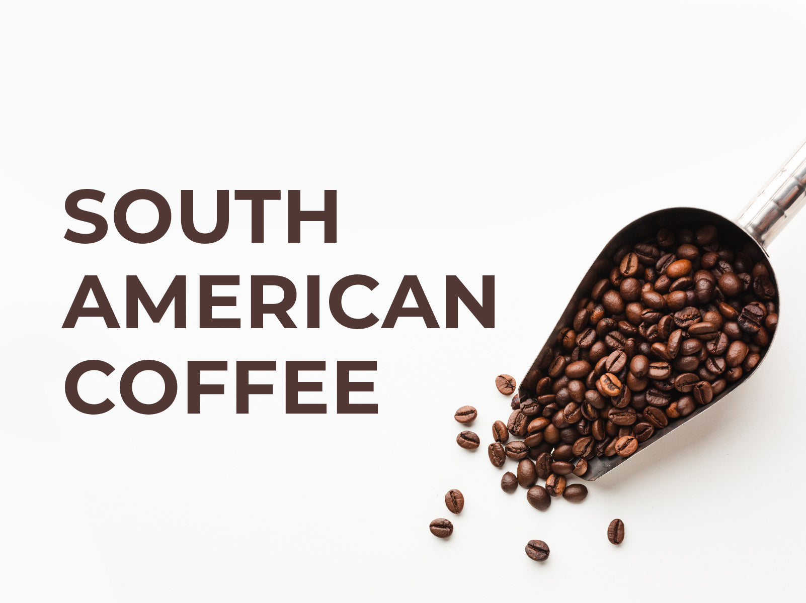 Single Origin Coffees | South American Coffee